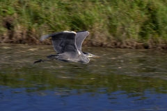 20180928_AMS_Reiher_01