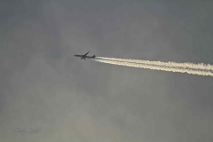 20200215_QatarB777_A7BEN_01