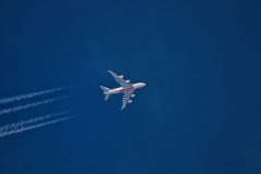 20200307_EmiratesA380_01