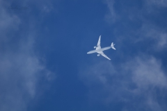 20200314_AirChina_A350_B307A_01