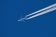 20200322_Quatar_B777_A7BAF_OneWorld_01
