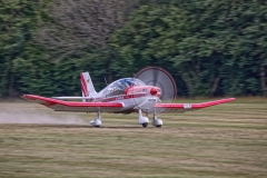 20200829_Private_Robin235_400_DEBSR_02