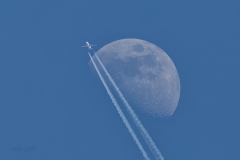 20250406_MoonCrosser_03