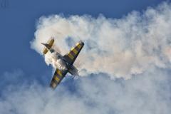 20250628_Extra_EA-330SX_DEYOO_06