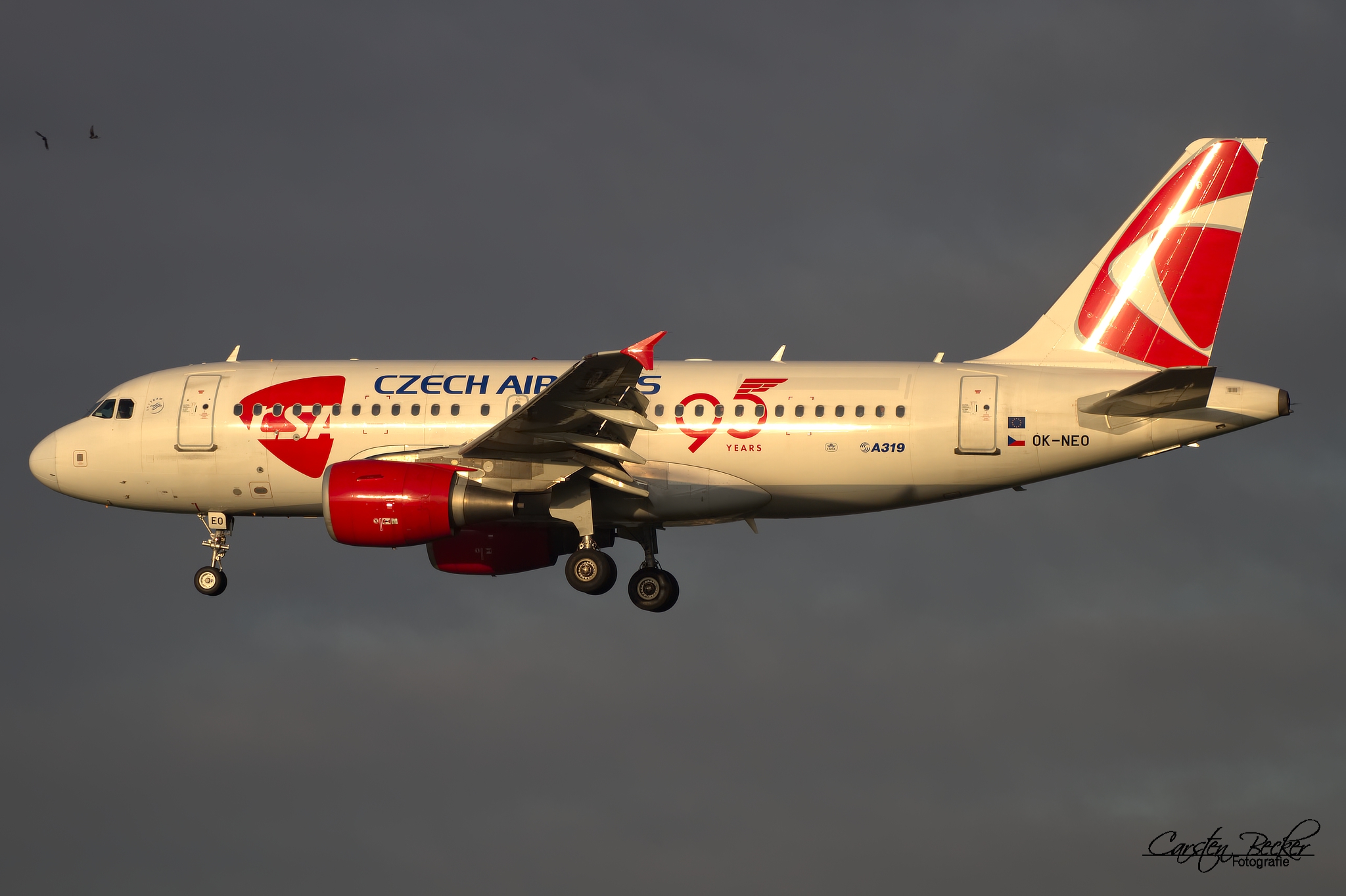 Czech Airlines A319 OK-NEO 95Years